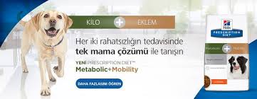 Hills Kopek Mamasi Home Facebook