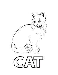 Realistic Siamese Cat Coloring Pages Awetemplats