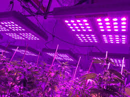 Pin On Immagini Aesthetic Aeste