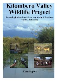 Image result for Courtoisina assimilis