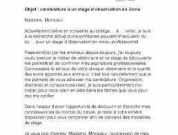 Modèle de lettre de motivation pour une demande de stage commercial. Modele De Cv Bac Pro Assp