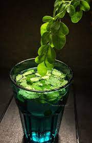 How To Make Moringa Tea Moringa Recipes How To Make Tea Moringa