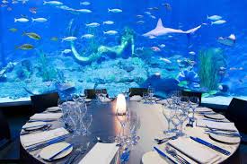 Melbourne Aquarium Fish Bowl Sea Life Melbourne Aquarium Melbourne Hotel Event Space