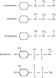 Image result for Strophanthus welwitschii
