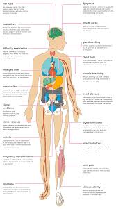 The Effects Of Lupus On The Body