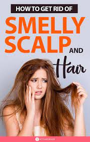 Pin On Hair Care