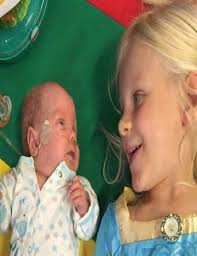 2022 8th Annual Red Shoe Gala Program by RMHC of the Ozarks, Inc.