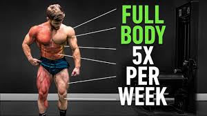 full body 5x per week why high