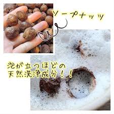 pluest プルエスト 皮膚科 美容 アルカリ性食品