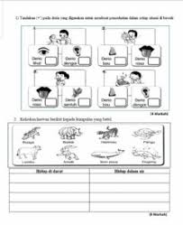 Sesi interaktif tingkat kemahiran pelajar. Kemahiran Proses Sains Interactive Activity