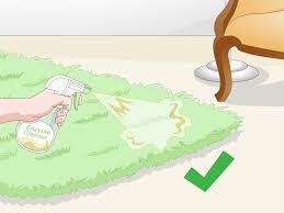 how to find cat urine with a uv light 10 steps with pictures