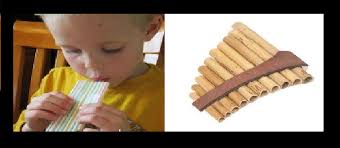Flute De Pan Instrument De Musique Instruments Musique
