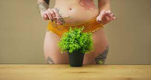 Ingrown hair occurs when your pubic hair curls back into the skin instead of growing to the surface of the skin after shaving, waxing or plucking the hair. How To Deal With Ingrown Pubic Hair Ingrown Pubic Hair Remedy