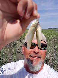 What's the biggest yellowfin you've caught in South Carolina?