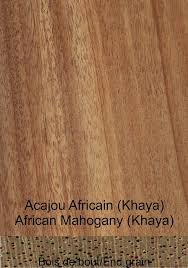 Image result for Khaya
