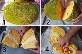 Check spelling or type a new query. How To Cut The Jackfruit Easiest Way To Cut The Jackfruit At Home Aaichi Savali