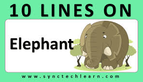 This is a comprehensive study package for class 10 hindi prose and poetry, chapter wise explanation summary, difficult words and question and answers. 10 Lines On Elephant In English Few Lines About Elephant