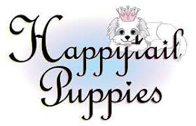 Happytail puppies is puppy mill and they need to be stopped. Happytail Puppies Llc Reviews Better Business Bureau Profile