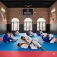 Brazilian jiu jitsu product image