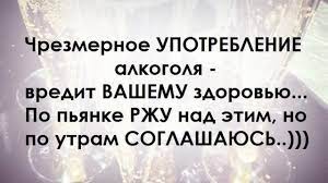 Скачать прикольные и красивые картинки: Прикольные афоризмы в картинках на  fun.tochka.net