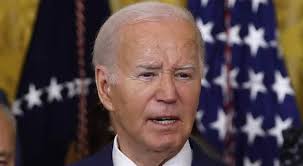 Former William & Mary All-American Nate Lynn signs with Detroit Lions