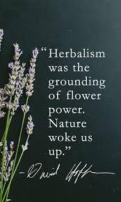 Qualify as a licensed herbalist. Plant People Medical Herbalist David Hoffmann Traditional Medicinals Medicine Quotes Herbalist Herbalist Quotes