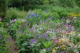 Noel Kingsbury Garden Landscape Design Garden Design Garden