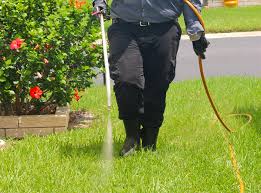 Trying to get rid of your lawn's pest problem on your own can produce mixed. Lawn Pest Treatment Control Abc Pest Control Inc