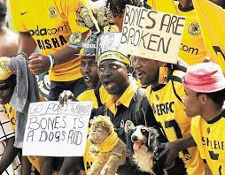 652 best the pats images in 2019 new england patriots. In Memes Kaizer Chiefs Fans Over The Moon After Soweto Derby Win