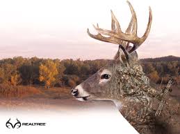 Poshmark is a fun and simple way to buy and sell fashion. Realtree Wallpapers Top Free Realtree Backgrounds Wallpaperaccess