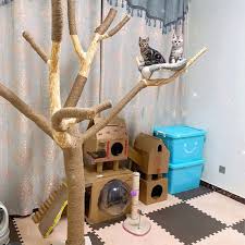 Diy cat scratcher tree is their affordability. Diy Cat Scratcher Rope Twisted Sisal Rope Replacement Cat Tree Scratching Toy Cat Climbing Frame Binding Rope Furniture Scratchers Aliexpress