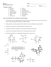 Macromolecules chart worksheets teaching resources tpt. Biology Macromolecule Review Worksheet