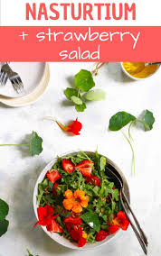 Pin On Z7 Salads And Freshness