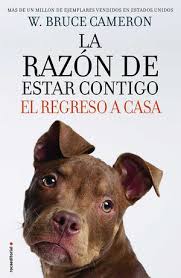 En el marco de esta celebración, aquí te dejamos algunas recomendaciones de libros infantiles. Razon De Estar Contigo La El Regreso A Casa El Regreso A Casa Cameron Bruce 9788417167714 Libreria Del Gam