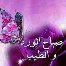 مشغل وصالون زهرة البنفسج للتزيين النسائي (شرورة) ØµØ§Ù„ÙˆÙ† Ø²Ù‡Ø±Ø© Ø§Ù„Ø¨Ù†ÙØ³Ø¬ Ø§Ù„ØµÙØ­Ø© Ø§Ù„Ø±Ø¦ÙŠØ³ÙŠØ© ÙÙŠØ³Ø¨ÙˆÙƒ