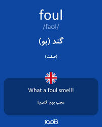 نتیجه جستجوی لغت [foul] در گوگل