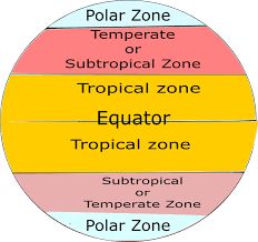 The majority of common the tropical rainforest is a hot, moist biome where it rains all year long. Tropical Rainforests Gcse Geography Revision Notes