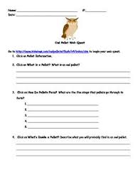 Virtual Owl Pellet Dissection Webquest Dictionary Skills Dictionary Activities Teaching Language Arts