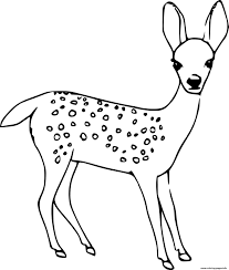 We hope your kids like these free printable deer coloring pages online. Realistic Baby Deer Coloring Pages Printable