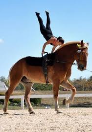 Vaulting Horse Vaulting Trick Riding Vaulting Equestrian