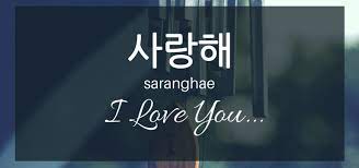 Apa bedanya saranghae, saranghamnida, sarangneun, saranghaeyo, dsb ? 14 Kata Kata Sayang Bahasa Korea Dan Artinya Romantis Cinta