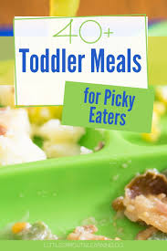There are limitless air fryer vegetable recipes you can make to transform your produce! 40 Toddler Meals For Picky Eaters
