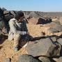 Profile Picture of Ahmad Al-Jallad | Department of Near Eastern and South Asian ... (@osu.edu) on Google