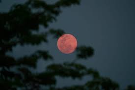 Today, the moon will be seen in this encore performance tonight will appear just above mars. Here S How Hoosiers Can See The Pink Supermoon That Will Dominate The Sky