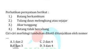 Berikut ini beberapa hal terkait tumbuhan dikotil yang telah merdeka.com rangkum dari gurupendidikan.co.id dan. Ciri Ciri Morfologi Tumbuhan Dikotil Ditunjukkan Oleh Nomor Brainly Co Id