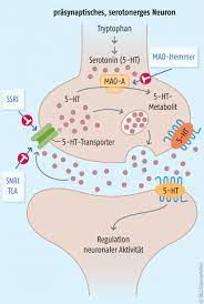 Gefurchtetes Serotonin Syndrom