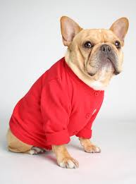 The Quincy Cardigan Products In 2019 Cat Lovers Four