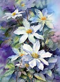 Maybe you would like to learn more about one of these? May Morning Clematis By Ann Mortimer Aquarela Floral Pintura Aquarela Arte Em Aquarela