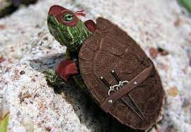 Check spelling or type a new query. Tmnt Tortues Ninja Twitterissa Et Voici La Plus Petite Tortue Ninja Du Monde Nos 4 Freres Vont Ils L Adopter Http T Co Ni1sgotyxy Http T Co Aq1ck0qgh4