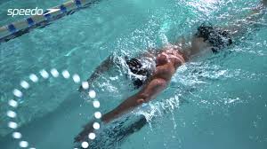 Concrètement, si je nage 1000m en 30min et que camille nage 1000m en 15min on aura nagé. Depenses Caloriques En Calories Consommees Pour Le Crawl